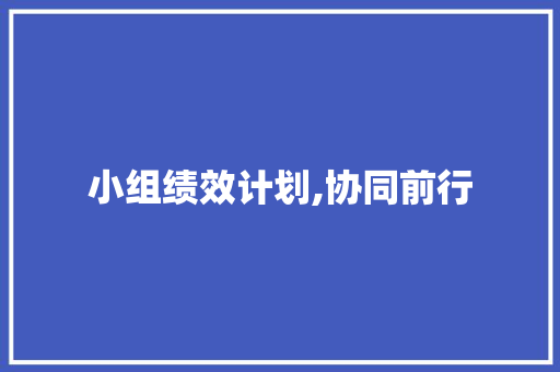 小组绩效计划,协同前行，共创辉煌