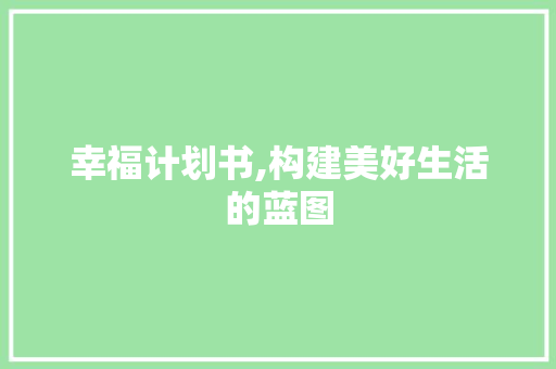 幸福计划书,构建美好生活的蓝图