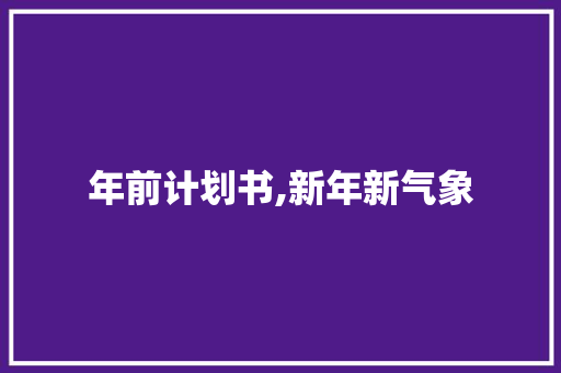 年前计划书,新年新气象，规划美好未来