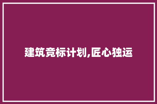 建筑竞标计划,匠心独运，共筑未来