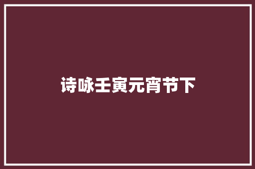 诗咏壬寅元宵节下