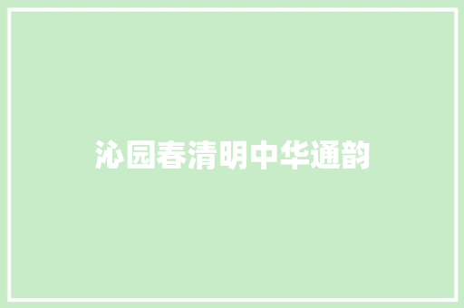 沁园春清明中华通韵