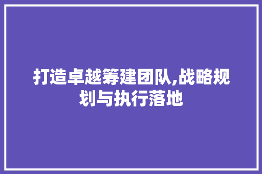 打造卓越筹建团队,战略规划与执行落地