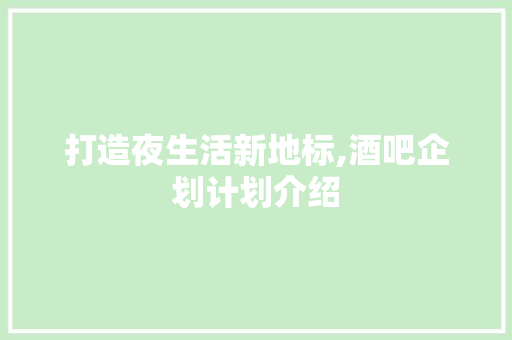 打造夜生活新地标,酒吧企划计划介绍