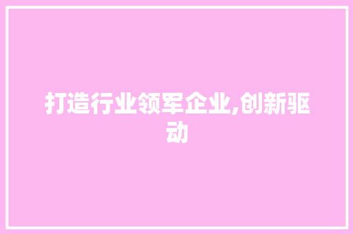 打造行业领军企业,创新驱动，赢在未来_某创业竞标计划书