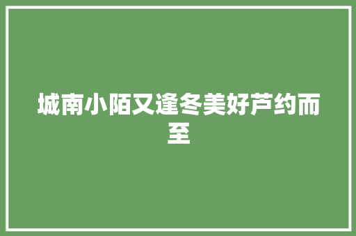 城南小陌又逢冬美好芦约而至