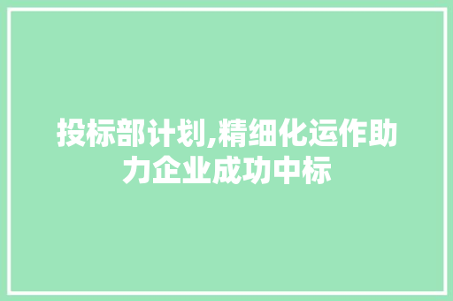 投标部计划,精细化运作助力企业成功中标
