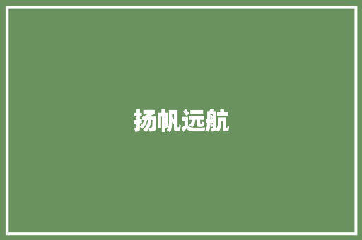 扬帆远航，规划渔船航渡新篇章_渔船航渡计划的科学布局与方法