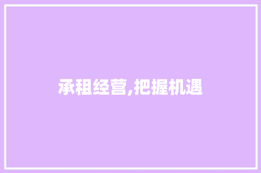承租经营,把握机遇，共创未来_以XX项目为例