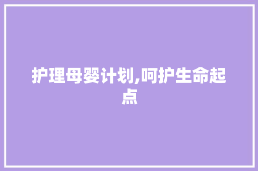 护理母婴计划,呵护生命起点，共筑幸福家庭