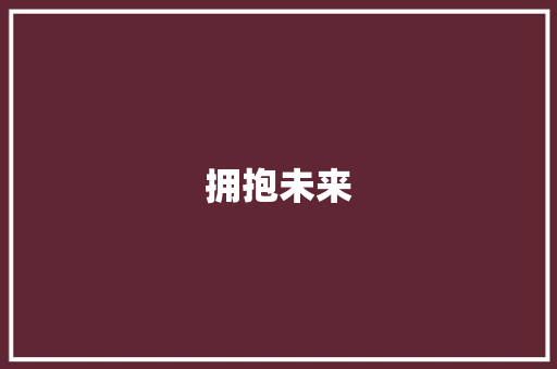 拥抱未来，共创辉煌_公司出售计划详细介绍