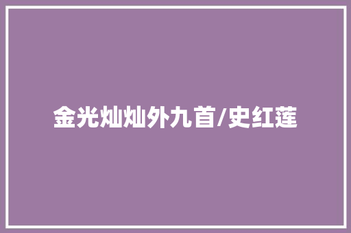 金光灿灿外九首/史红莲