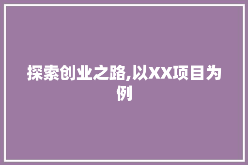 探索创业之路,以XX项目为例，解读创业计划书的魅力