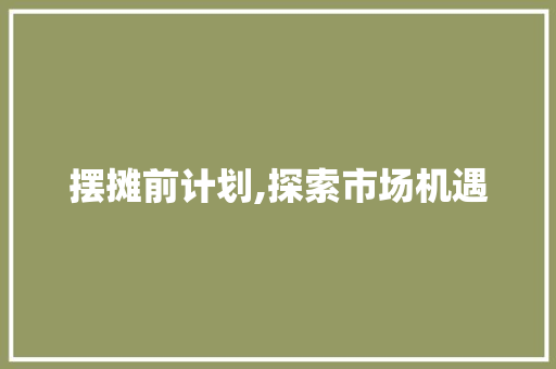 摆摊前计划,探索市场机遇，开启创业新篇章