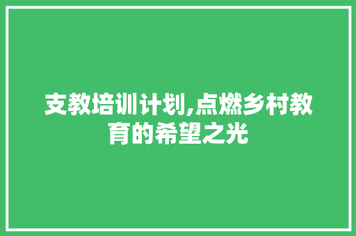 支教培训计划,点燃乡村教育的希望之光