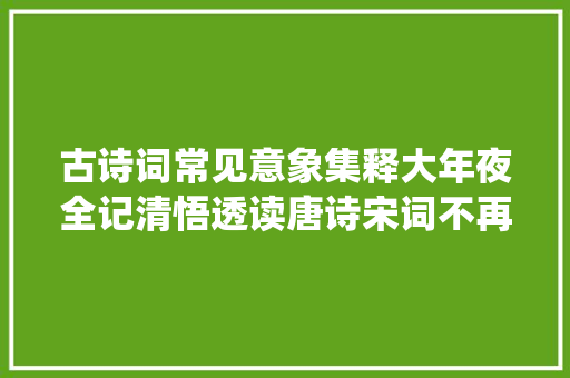 古诗词常见意象集释大年夜全记清悟透读唐诗宋词不再难写亦不再难