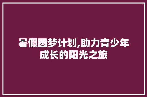 暑假圆梦计划,助力青少年成长的阳光之旅