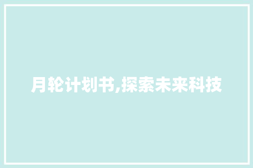 月轮计划书,探索未来科技，引领创新发展的蓝图