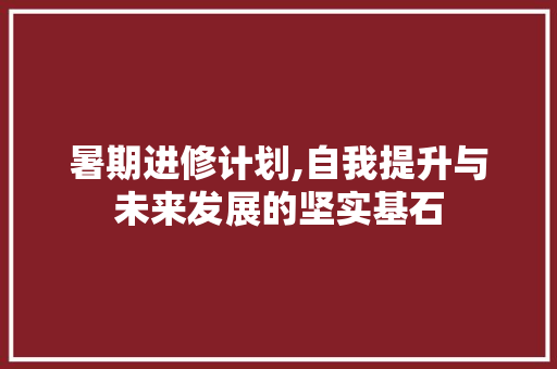 暑期进修计划,自我提升与未来发展的坚实基石
