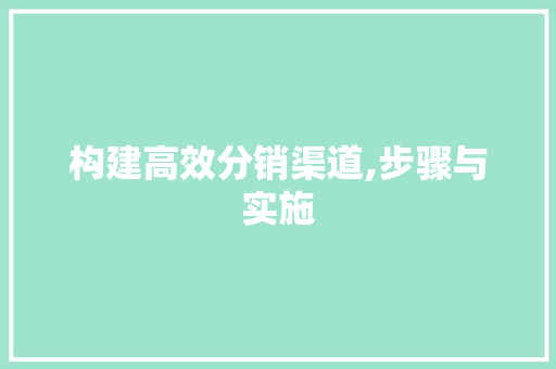 构建高效分销渠道,步骤与实施