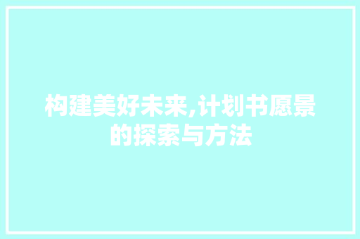 构建美好未来,计划书愿景的探索与方法