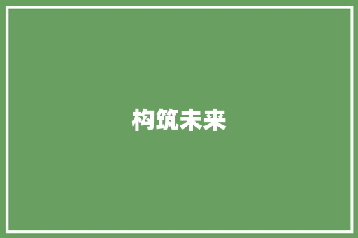 构筑未来，引领行业_XX网站计划书详细介绍
