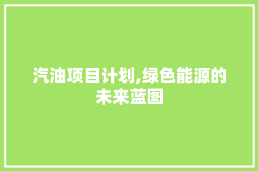 汽油项目计划,绿色能源的未来蓝图