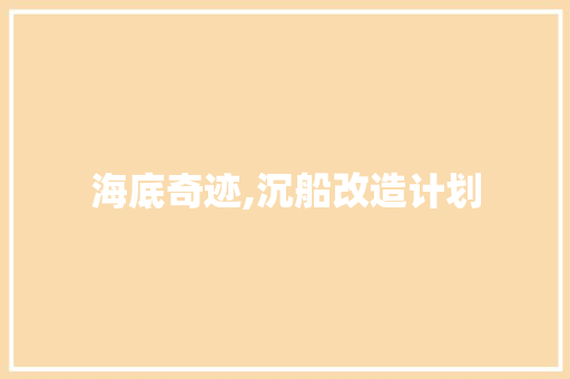海底奇迹,沉船改造计划，探寻水下文化遗产的新篇章