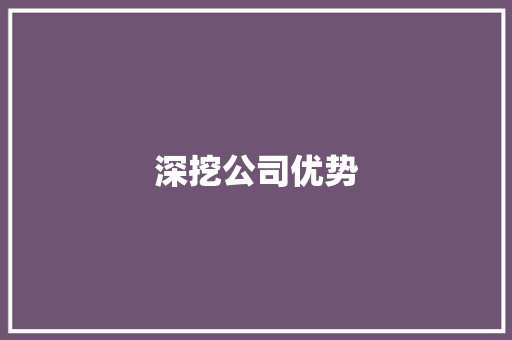 深挖公司优势，共筑辉煌未来_介绍XX公司的核心竞争力
