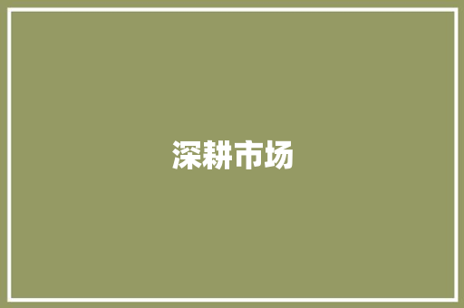 深耕市场，精准走访_销售走访计划的步骤与实施