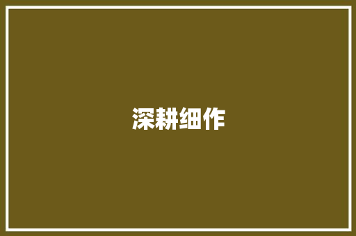 深耕细作，以学期语文计划为指引，提升学生语文素养