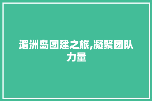 湄洲岛团建之旅,凝聚团队力量，共筑美好未来