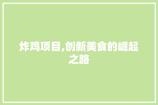 炸鸡项目,创新美食的崛起之路