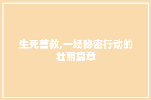 生死营救,一场秘密行动的壮丽篇章