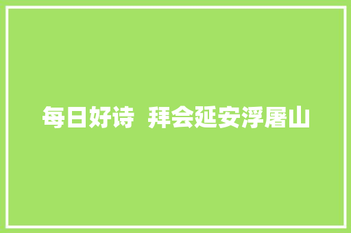 每日好诗  拜会延安浮屠山