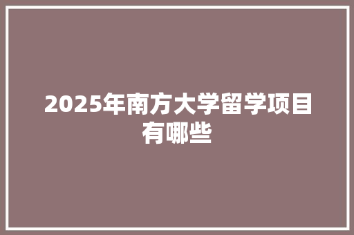 2025年南方大学留学项目有哪些