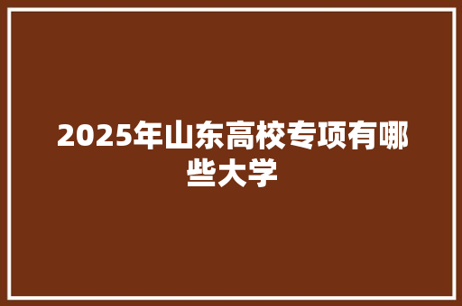 2025年山东高校专项有哪些大学