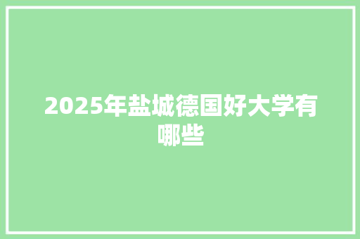 2025年盐城德国好大学有哪些