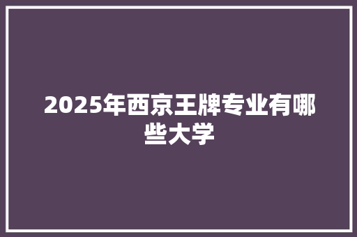 2025年西京王牌专业有哪些大学
