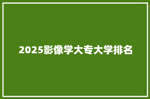 2025影像学大专大学排名