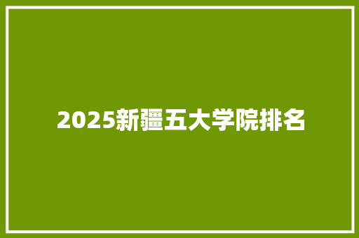 2025新疆五大学院排名