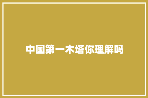 中国第一木塔你理解吗