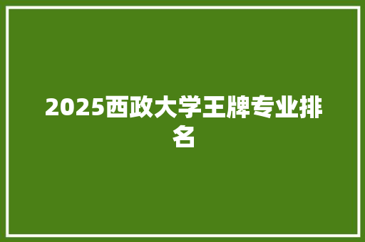 2025西政大学王牌专业排名