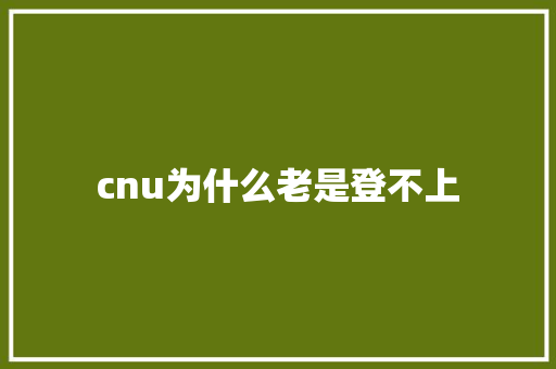 cnu为什么老是登不上