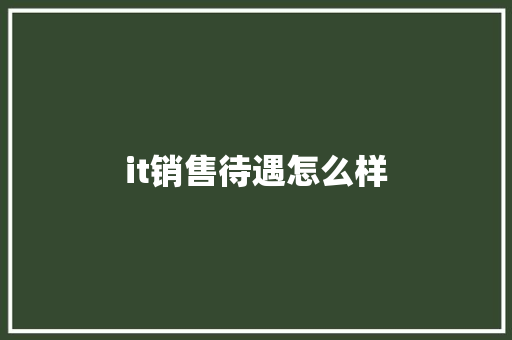 it销售待遇怎么样
