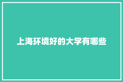 上海环境好的大学有哪些