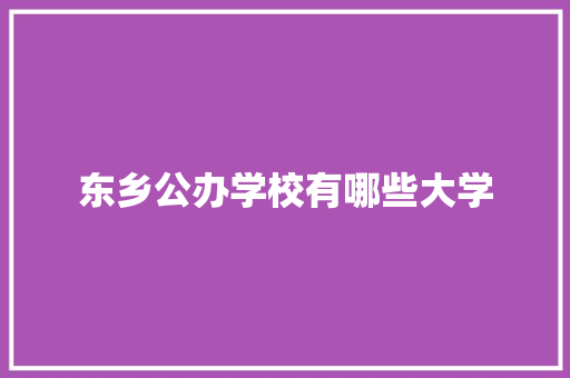 东乡公办学校有哪些大学