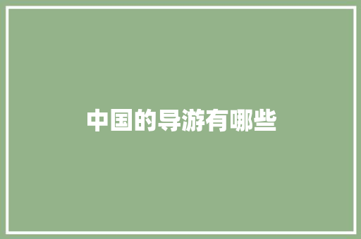 中国的导游有哪些