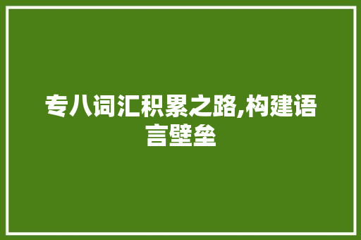 专八词汇积累之路,构建语言壁垒，提升英语水平_专八词汇怎么积累