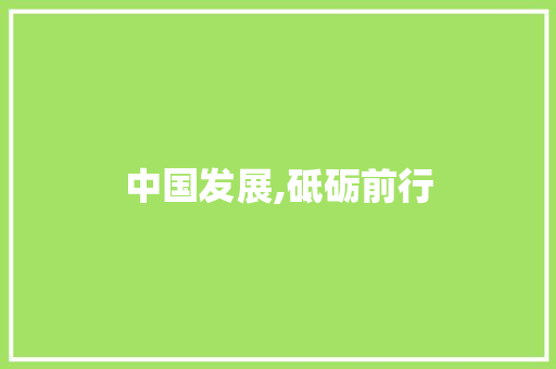 中国发展,砥砺前行，共创辉煌_中国发展的作文800字
